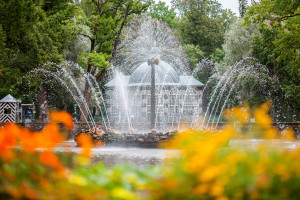 К фонтанам Петергофа — на метеоре и в мини-группе (билеты включены)